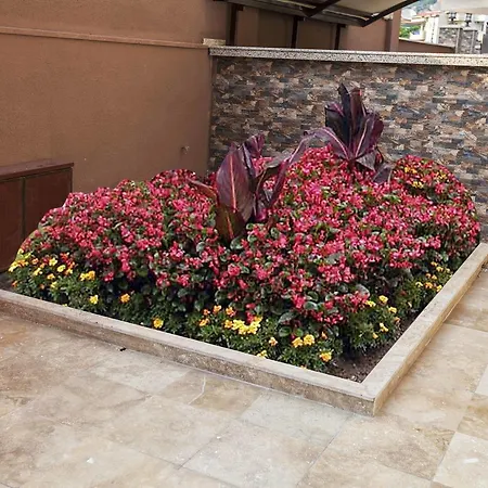 מלון Comet De Luxe 4*