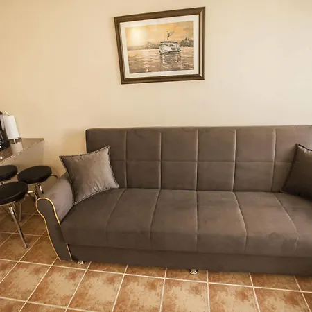 Comet De Luxe מלון 4*
